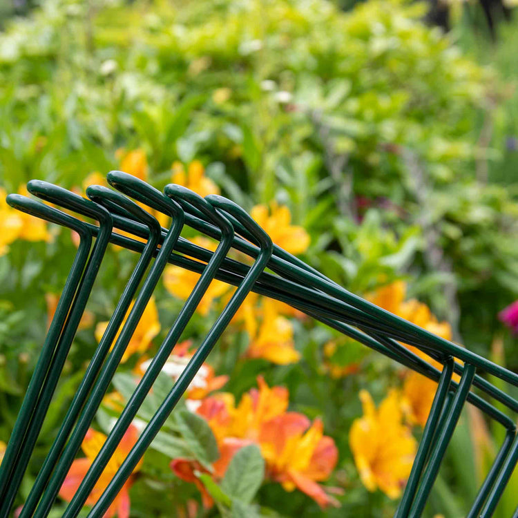 Plant Link Supports 45cm x 12