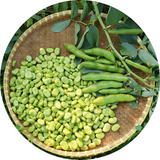 Seeds to Sow Now