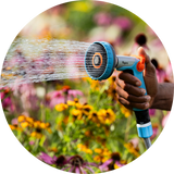 Watering