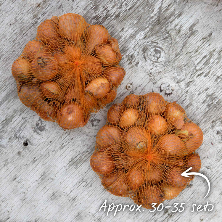 Spring Planting Shallots Duo Pack