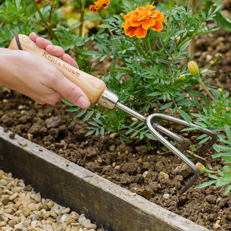 Kent & Stowe Stainless Steel 3 Prong Hand Cultivator