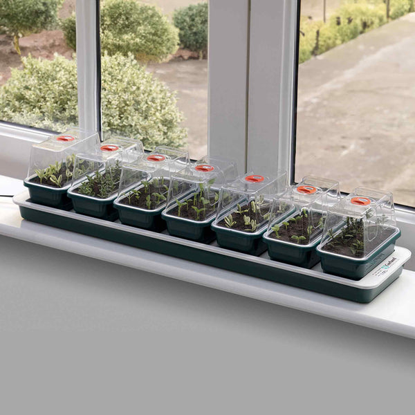 Super 7 Electric Windowsill Propagator