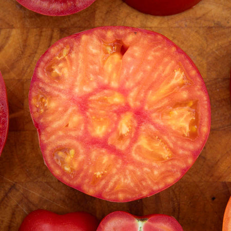 Cordon Tomato Plant 'Buffalosun'