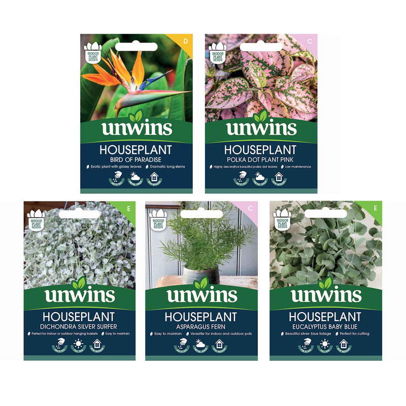 Unwins Houseplant Seed Collection – 5 Varieties