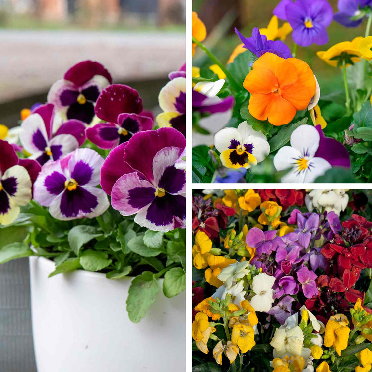 Marshalls 'Winter and Spring' Bedding Selection