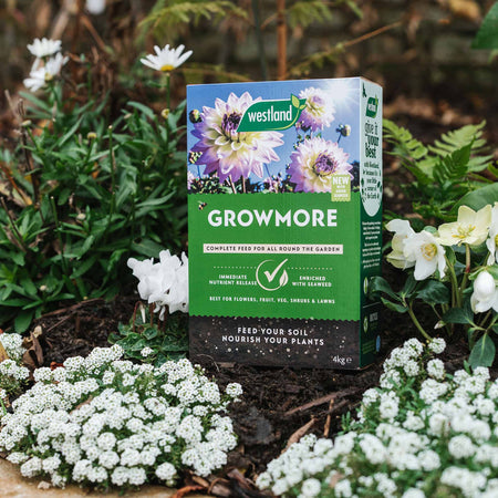 Westland Growmore Fertiliser