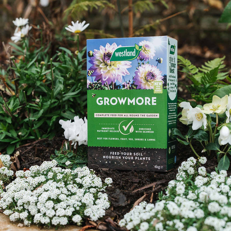 Westland Growmore Fertiliser
