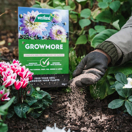 Westland Growmore Fertiliser