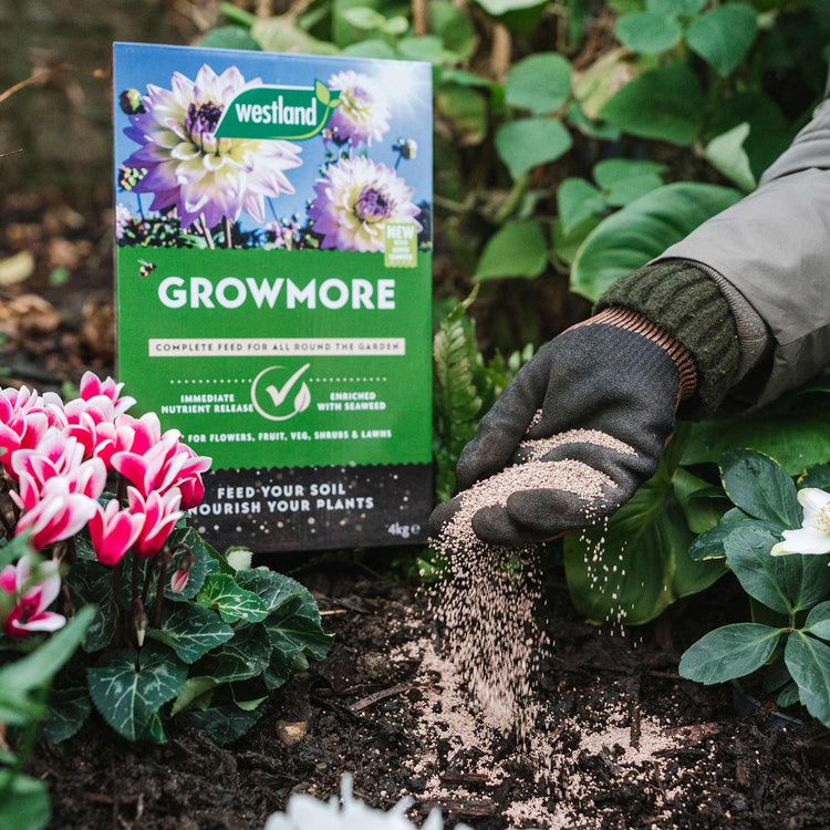 Westland Growmore Fertiliser