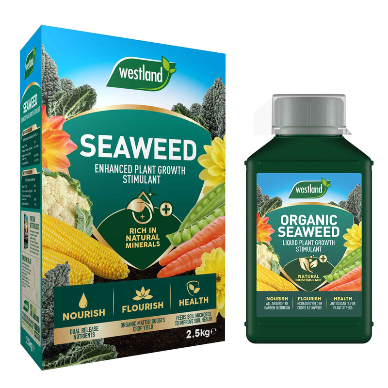 Seaweed Bundle