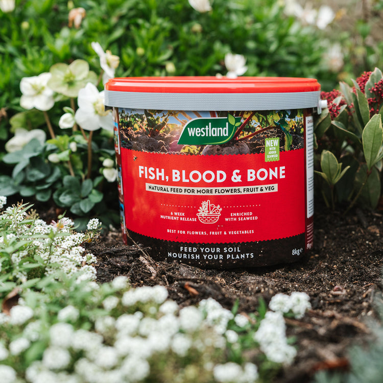 Westland Fish, Blood & Bone