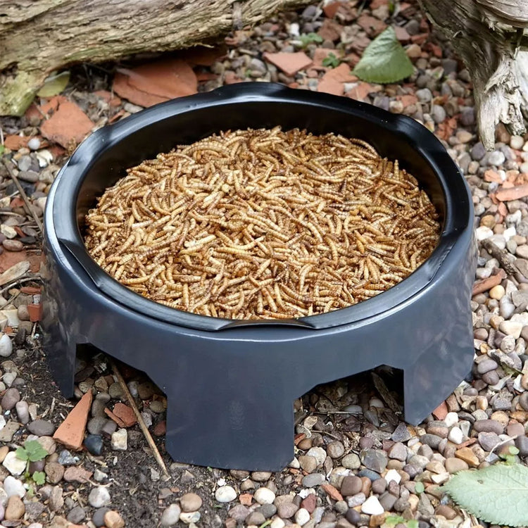 Gardman Mealworms