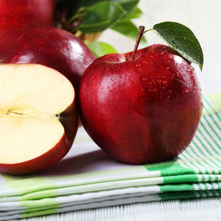 Apple 'Red Falstaff'