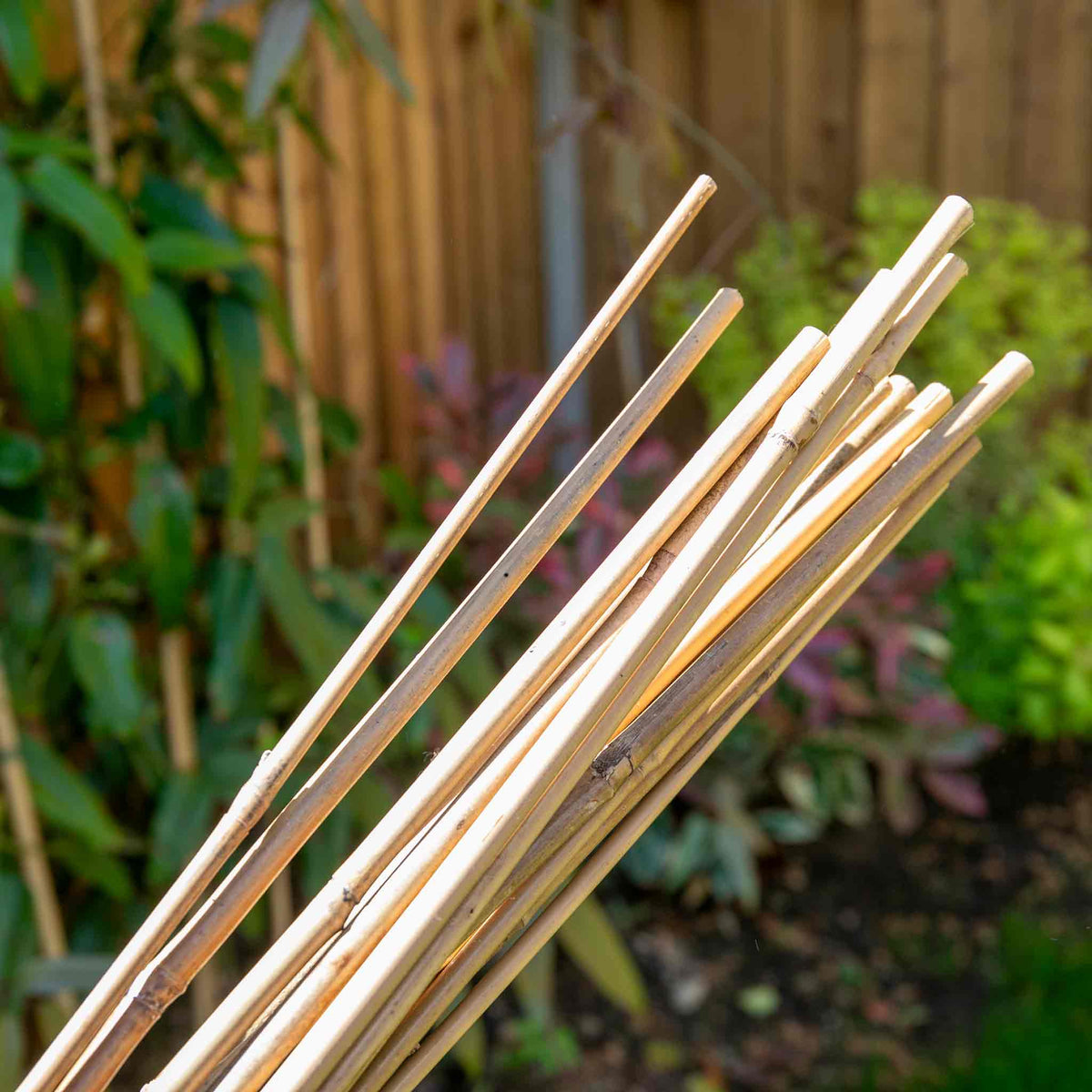 Bamboo 120cm Garden Canes x 20 | Marshalls Garden