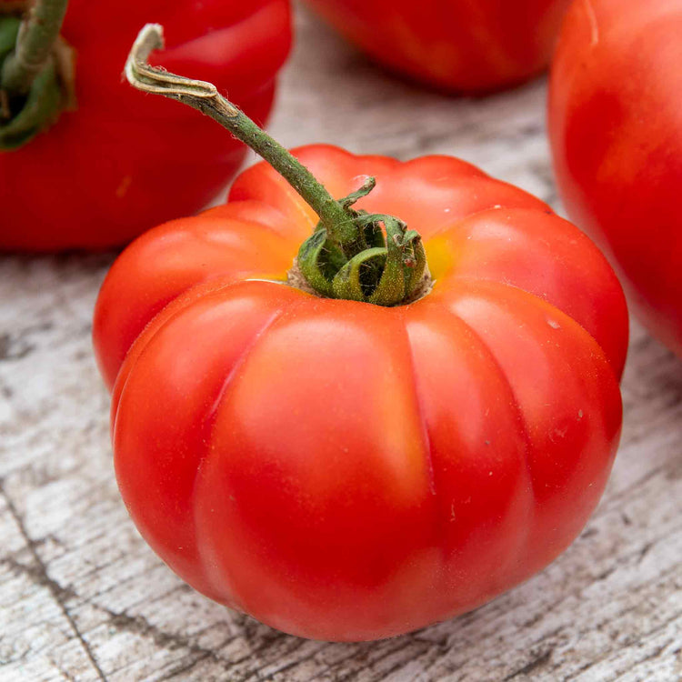 Tomato Seeds 'Buffalo Steak'