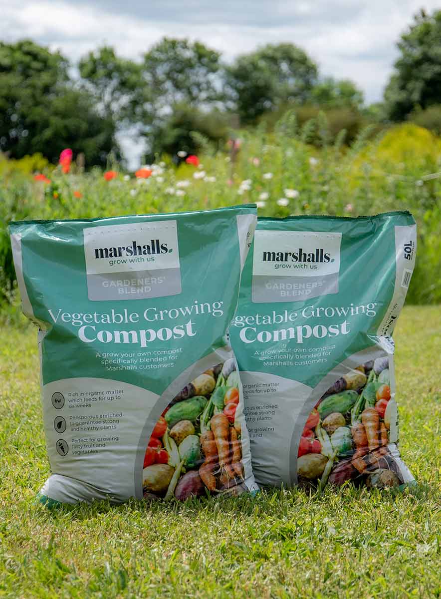 Marshalls Garden Vegetable Growing Blend Compost Buy Vegetable Compost Online Marshalls Garden