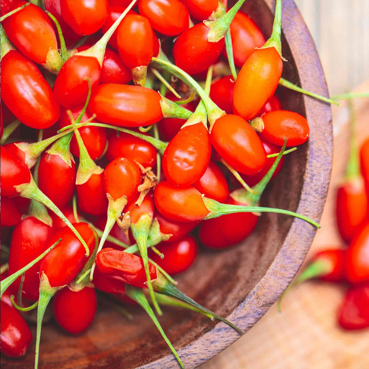 Goji Berry x1