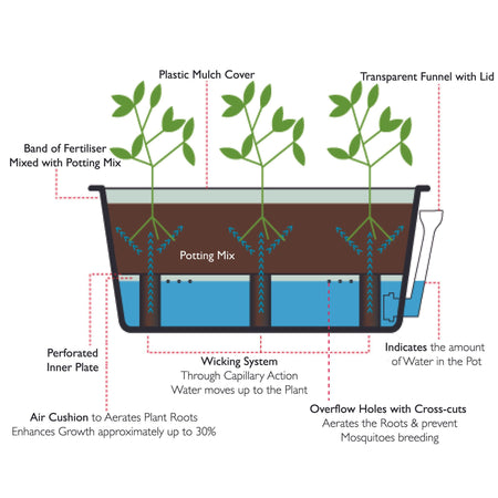 Self Watering Vegetable Growing Trough - Black