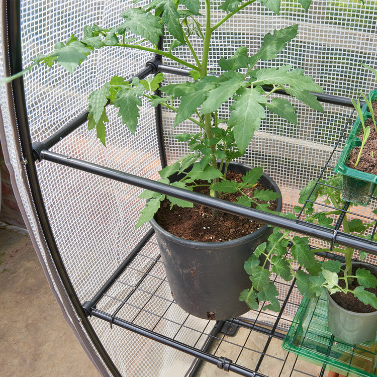 Visiroot 12 Tray Growhouse