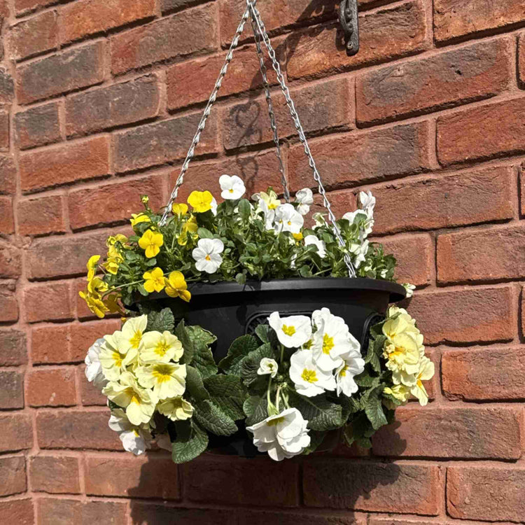 Easy Fill Hanging Basket in Black