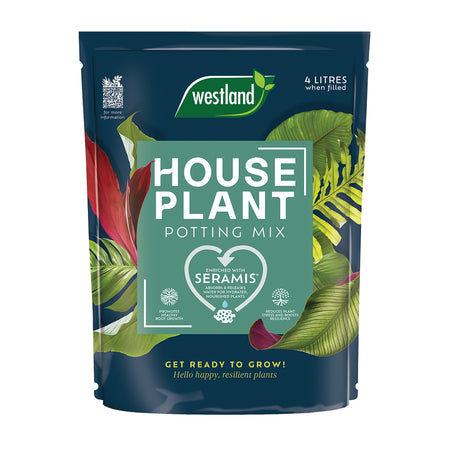 Houseplant Seed Growing Kit – 5 Varieties