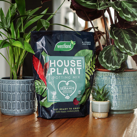 Westland Houseplant Potting Mix