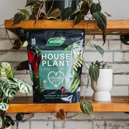 Westland Houseplant Potting Mix