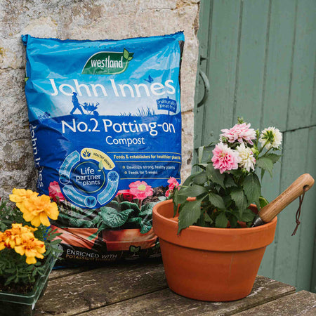 Westland John Innes Peat Free No.2 Potting On Compost 28L