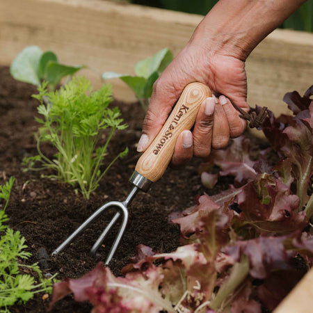 Kent & Stowe Stainless Steel 3 Prong Hand Cultivator