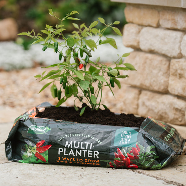 Westland Peat Free Multi-Planter Medium
