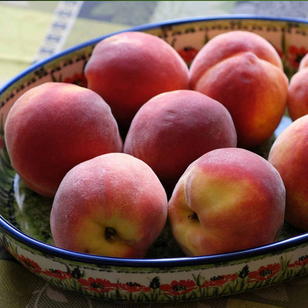 Peach 'Suncrest'