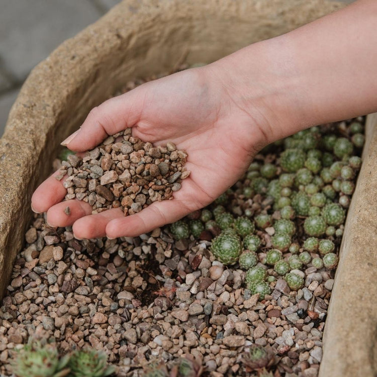 grit for potting plants Westland Potting Grit