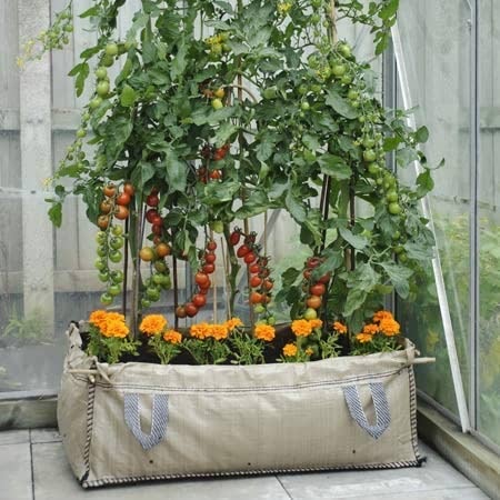 Patio & Greenhouse Grow Bed