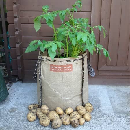 Potato Grow Sack