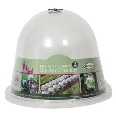Victorian Bell Cloche