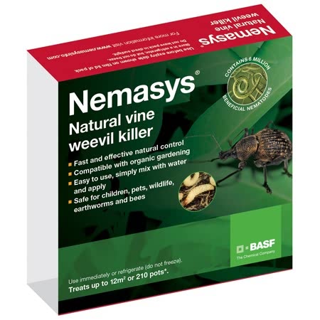 Nemasys Vine Weevil Control