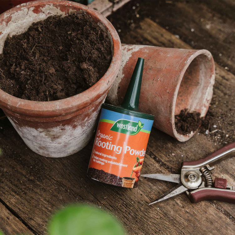 Westland Organic Rooting Powder