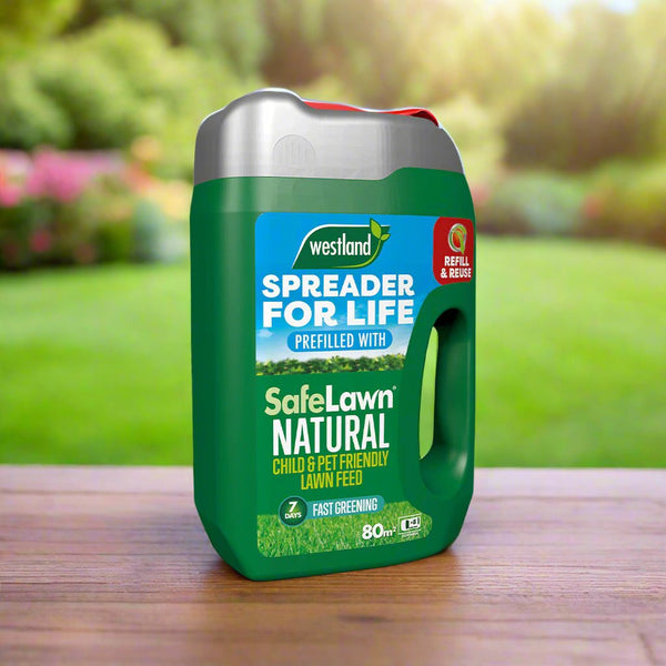 Healthy Lawn Full Website (Copy, 234 selected)