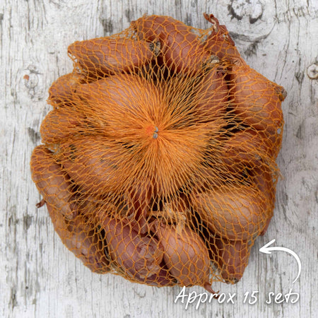 Shallot Sets 'Longor'