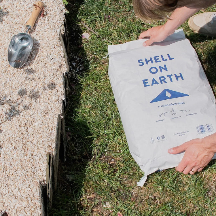 Shell on Earth Crushed Whelk Shells | Marshalls Garden