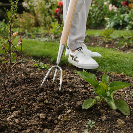 Kent & Stowe Stainless Steel Long 3 Prong Cultivator