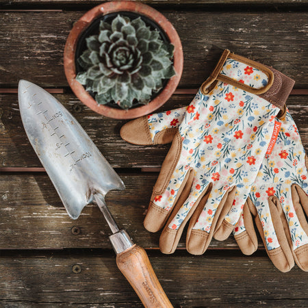 Kent & Stowe Stainless Steel Transplanting Trowel