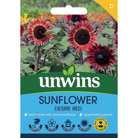 Sunflower Seeds 'Desire Red'