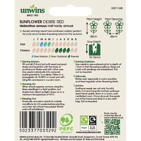 Sunflower Seeds 'Desire Red'