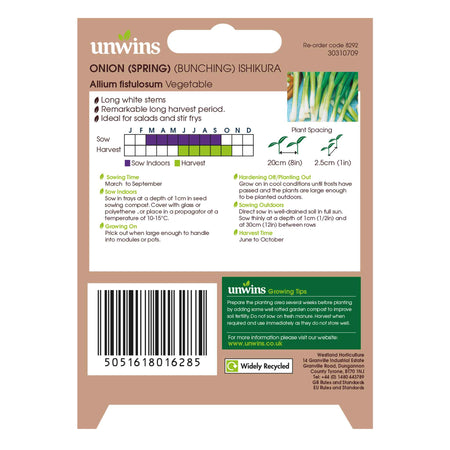 Spring Onion Seeds 'Ishikura'