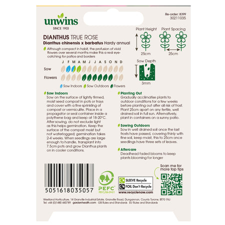Dianthus Seeds 'True Rose'