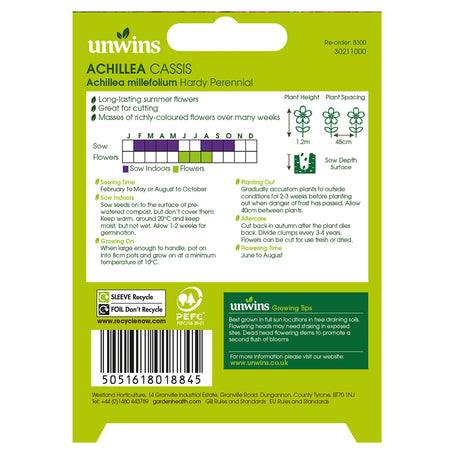 Achillea Seeds 'Cassis'