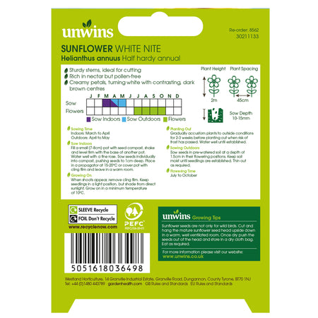 Sunflower Seeds 'White Nite'