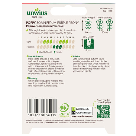 Poppy Seeds 'Purple Peony'