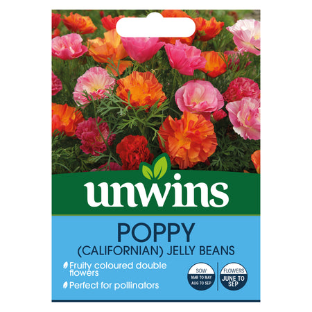 Californian Poppy Seeds 'XL Jelly Beans'